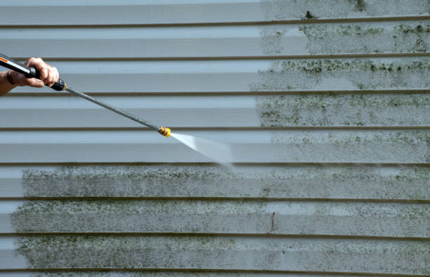 Best Soft Washing  in Sequim, WA